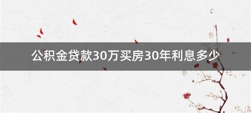 公积金贷款30万买房30年利息多少